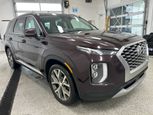 Hyundai Palisade 2022 - Thumbnail 5