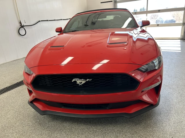 Ford Mustang EcoBoost 2019