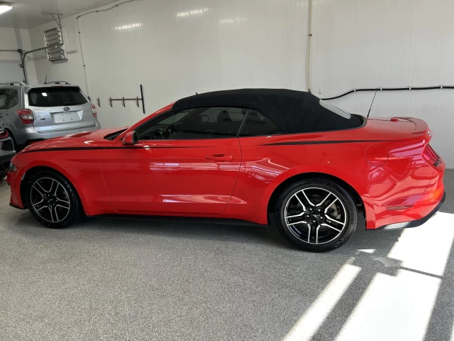 Ford Mustang EcoBoost 2019