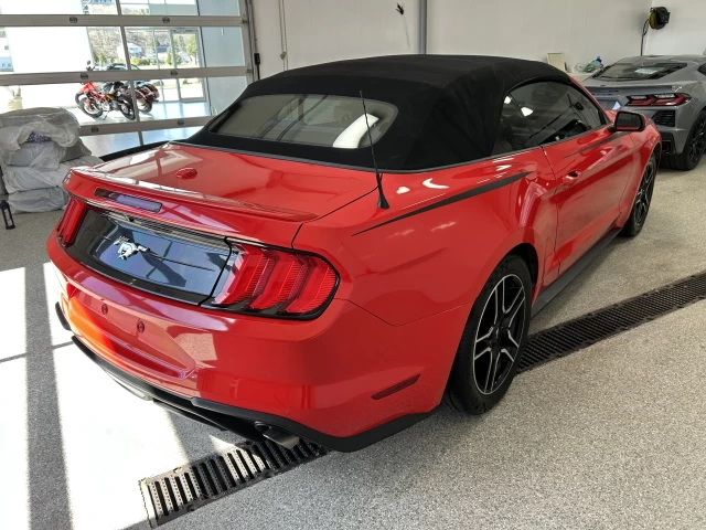 Ford Mustang EcoBoost 2019