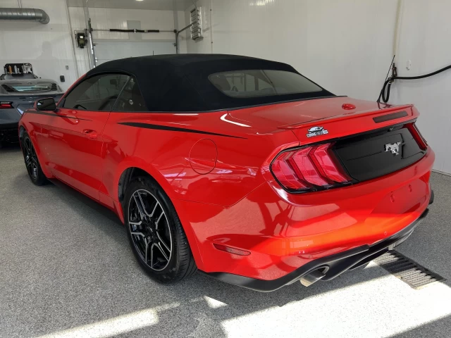 Ford Mustang EcoBoost 2019