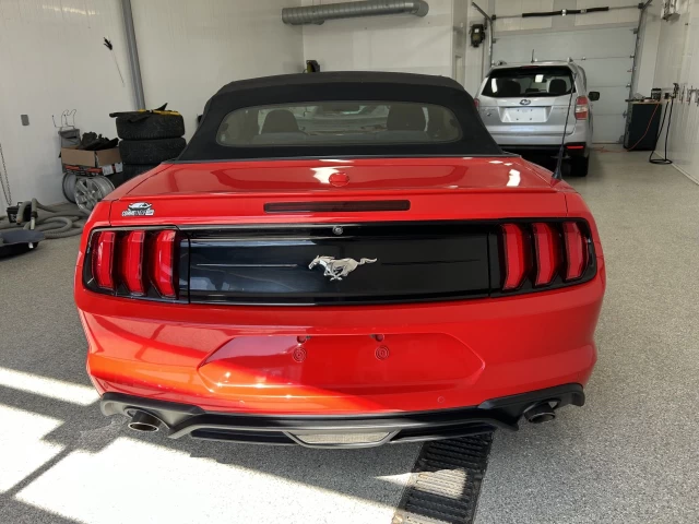 Ford Mustang EcoBoost 2019