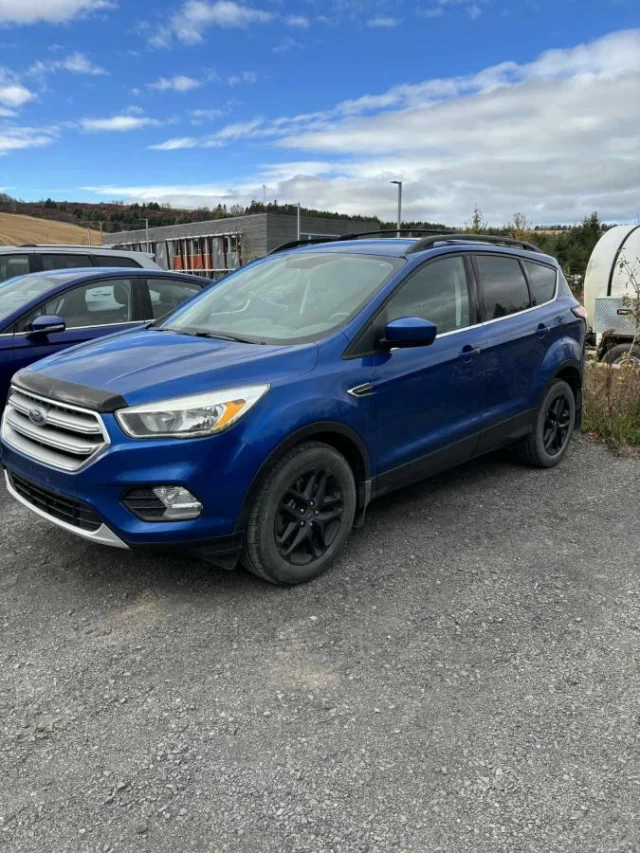 Ford Escape 4WD 4dr SE 2017