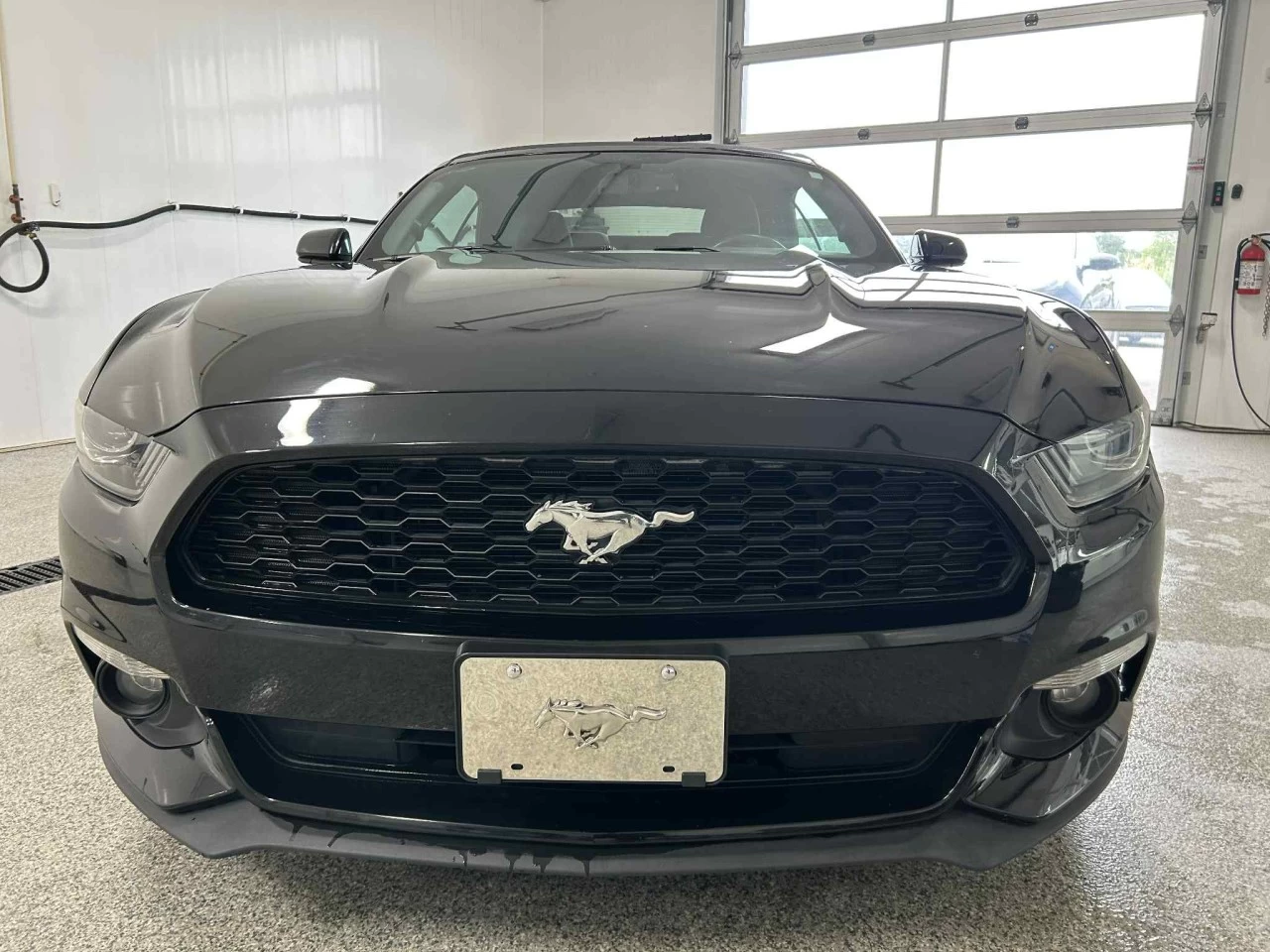 2015 Ford Mustang V6 Image principale