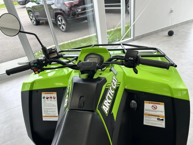 Arctic Cat Alterra 600  2023
