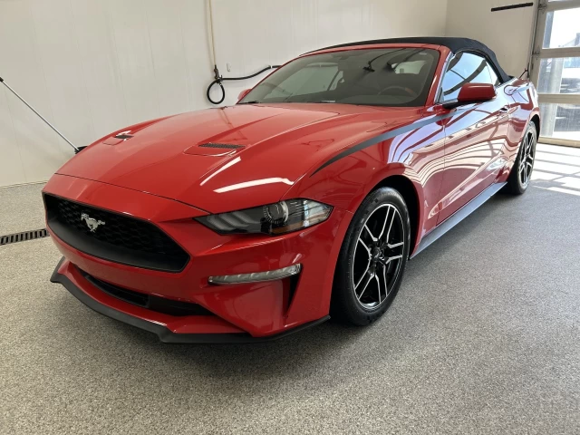 Ford Mustang EcoBoost 2019