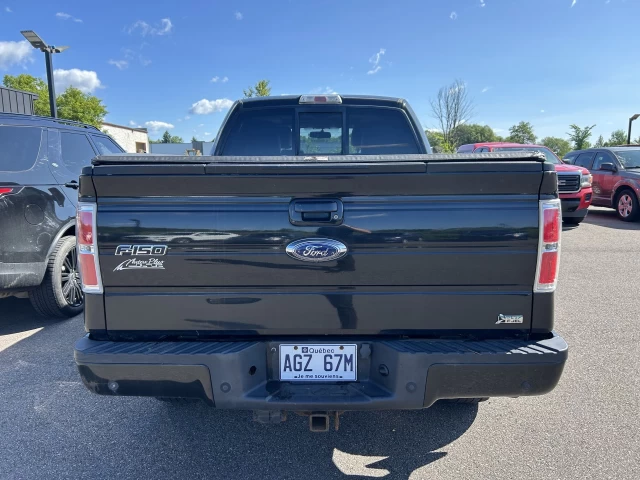 Ford F-150 FX4 2010