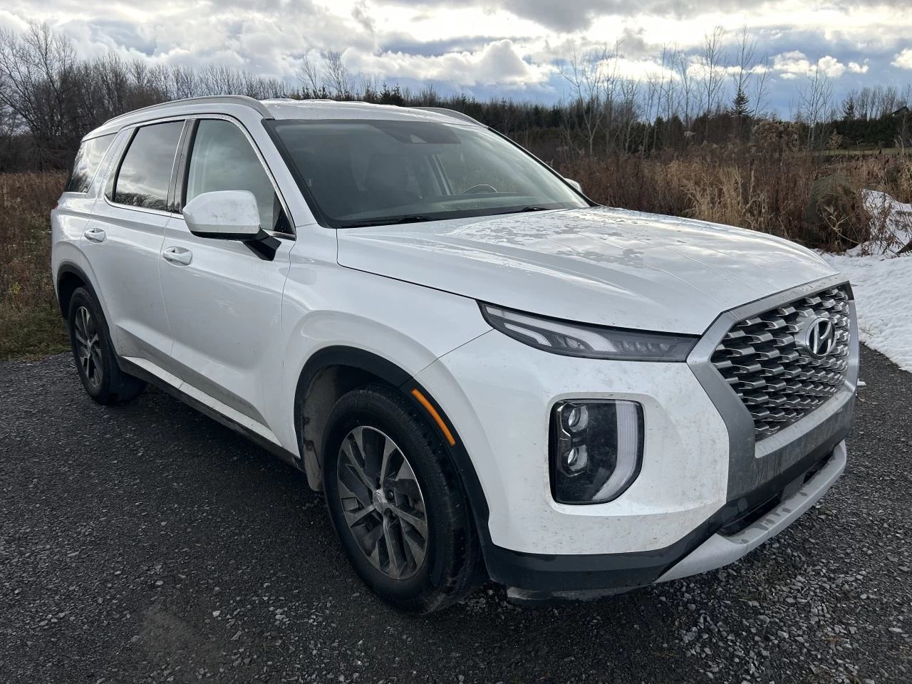 2021 Hyundai Palisade Essential Image principale