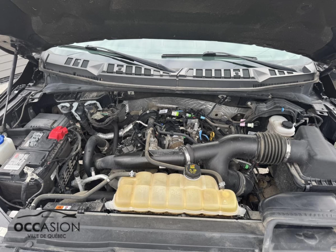 2019 Ford F-150 XTR Crewcab Image principale