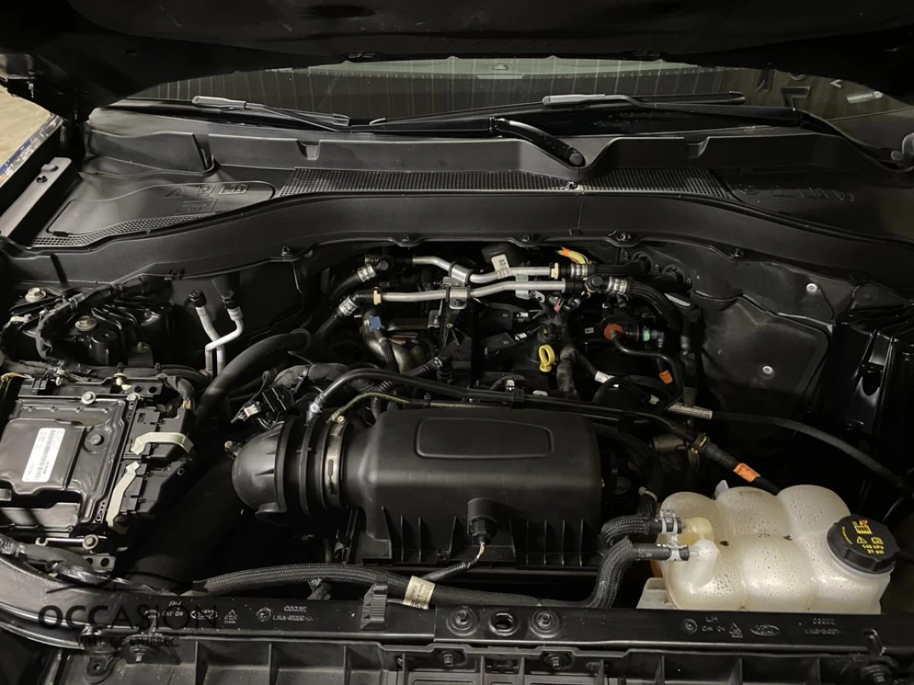 2023 Ford Explorer XLT 4WD Image principale