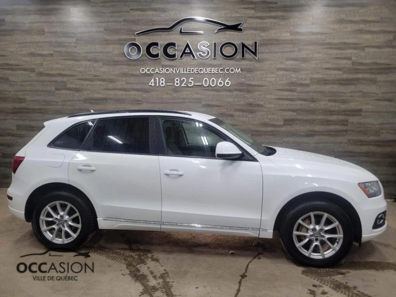 2013 Audi Q5 quattro 4dr 2.0L Main Image