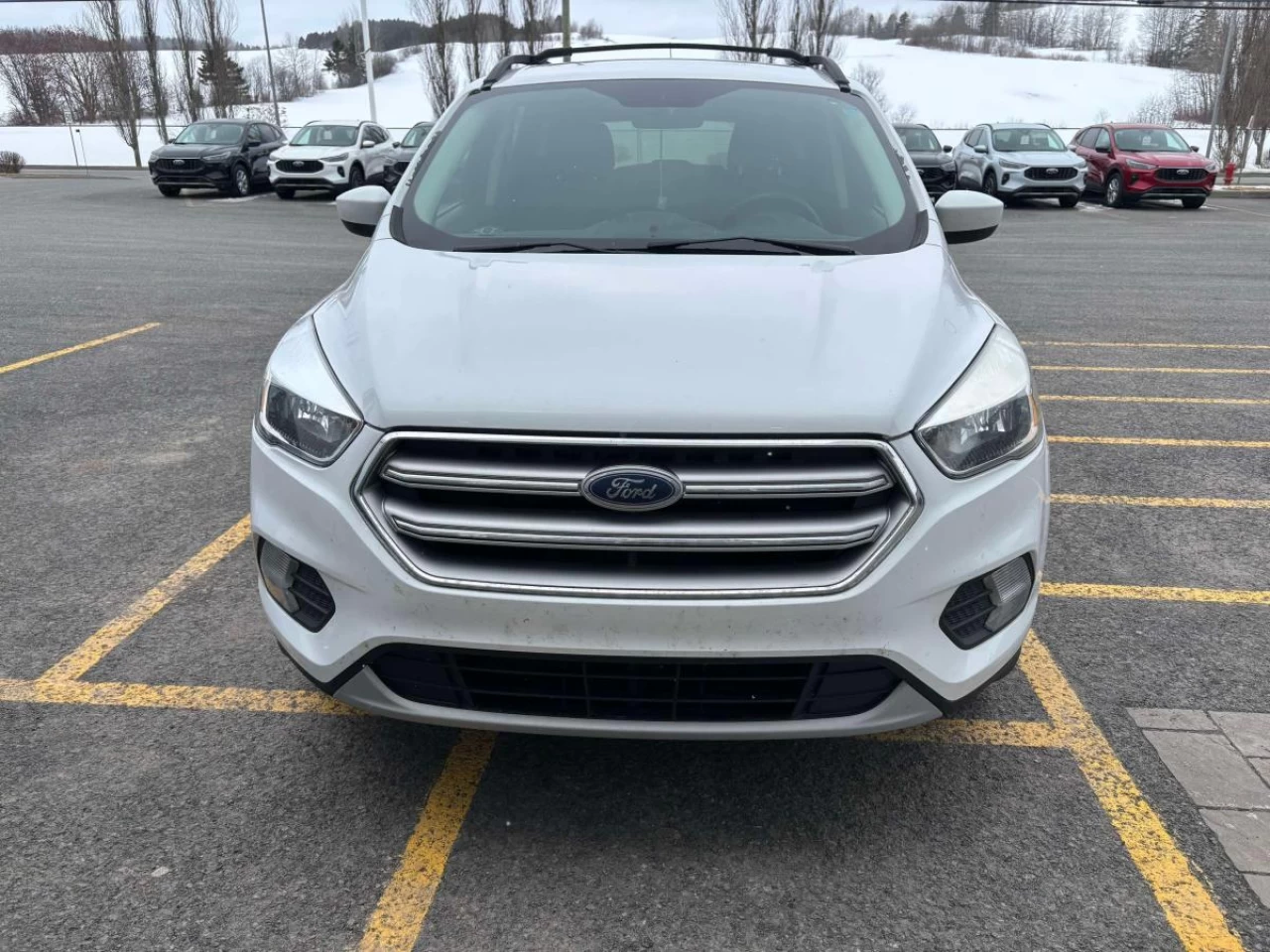 2017 Ford Escape 4WD 4dr SE Image principale