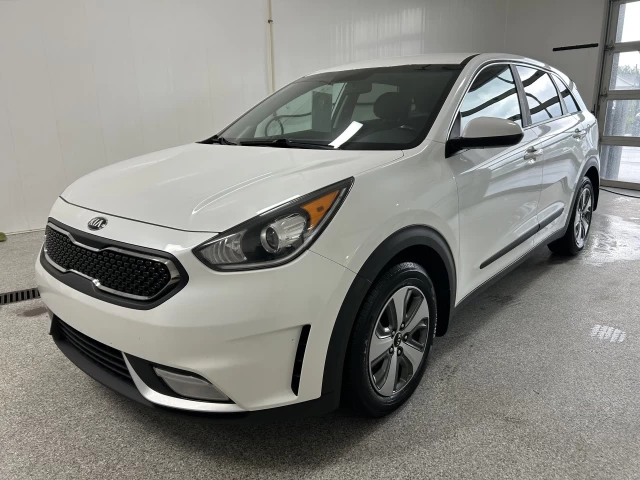 Kia Niro FE 2019