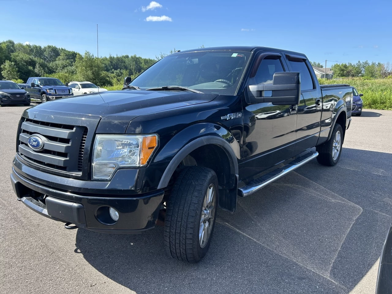 2010 Ford F-150 FX4 Image principale